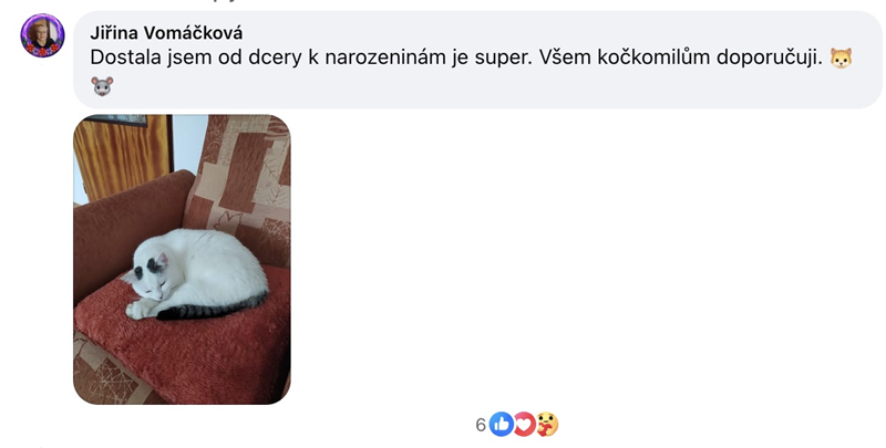 Facebookový komentář čtenářky Kočičí bible